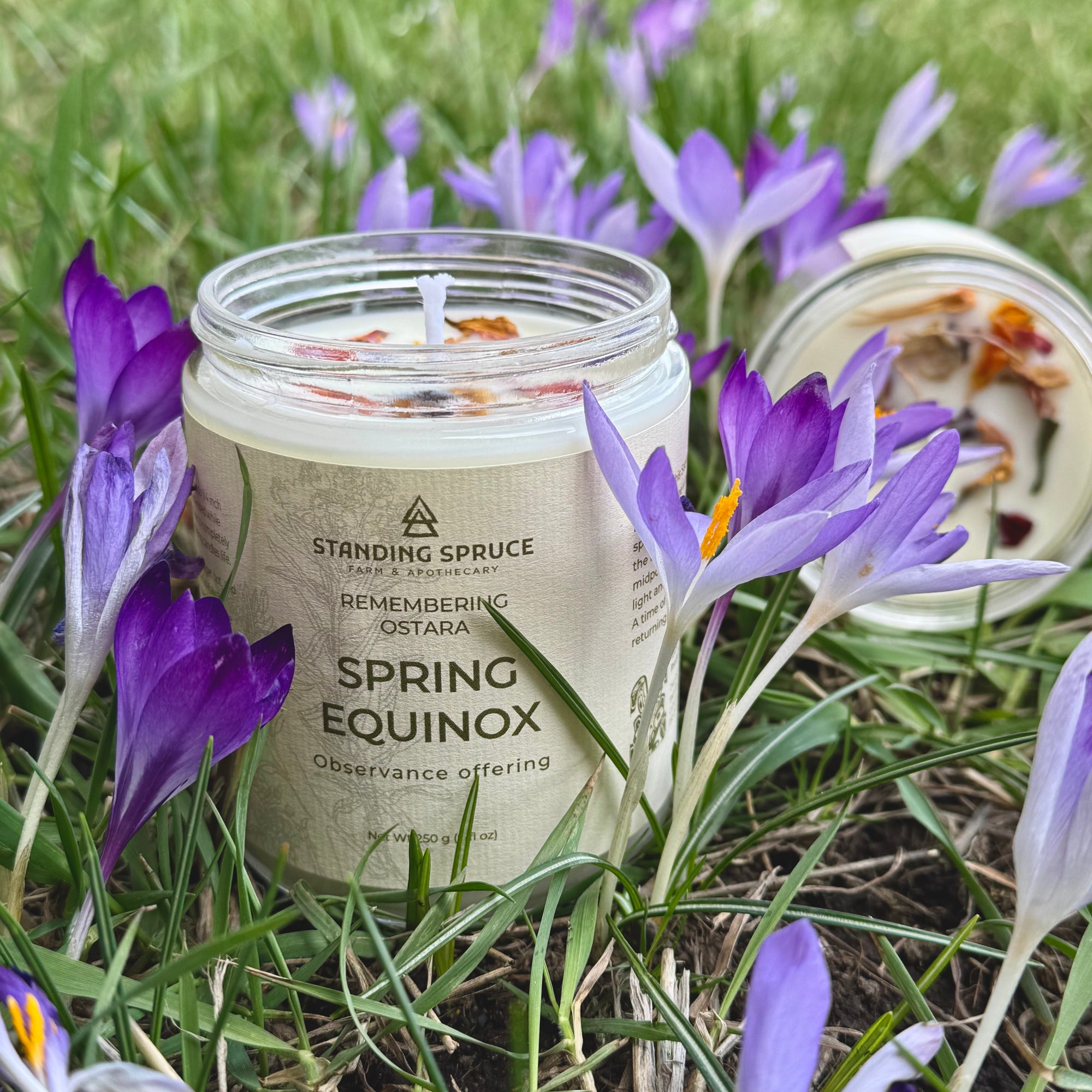 Ostara Spring Equinox Candle