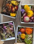 Mini Wreath Kit