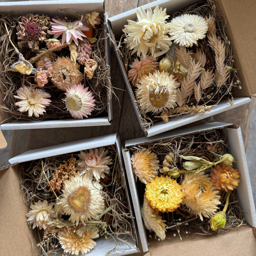 Mini Wreath Kit