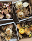 Mini Wreath Kit
