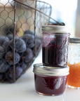 Strawberry Jam: Digital LIVE Canning Workshop / June 15, 2024