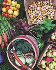 garden harvest