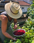 Tomatoes: Digital LIVE Canning Workshop / September 12, 2021