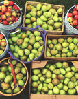 Pears + Peaches: Digital LIVE Canning Workshop / August 15, 2021