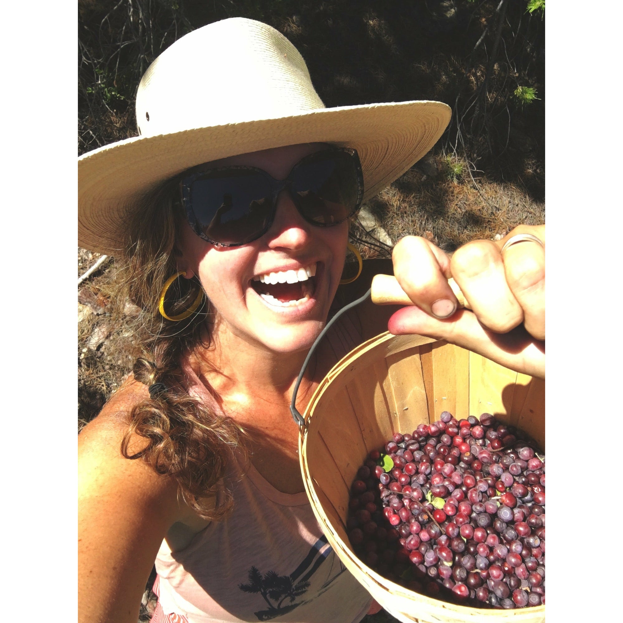 Tomatoes: Digital LIVE Canning Workshop / September 12, 2021