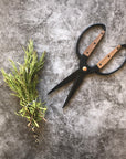 Kitchen + Garden Shears