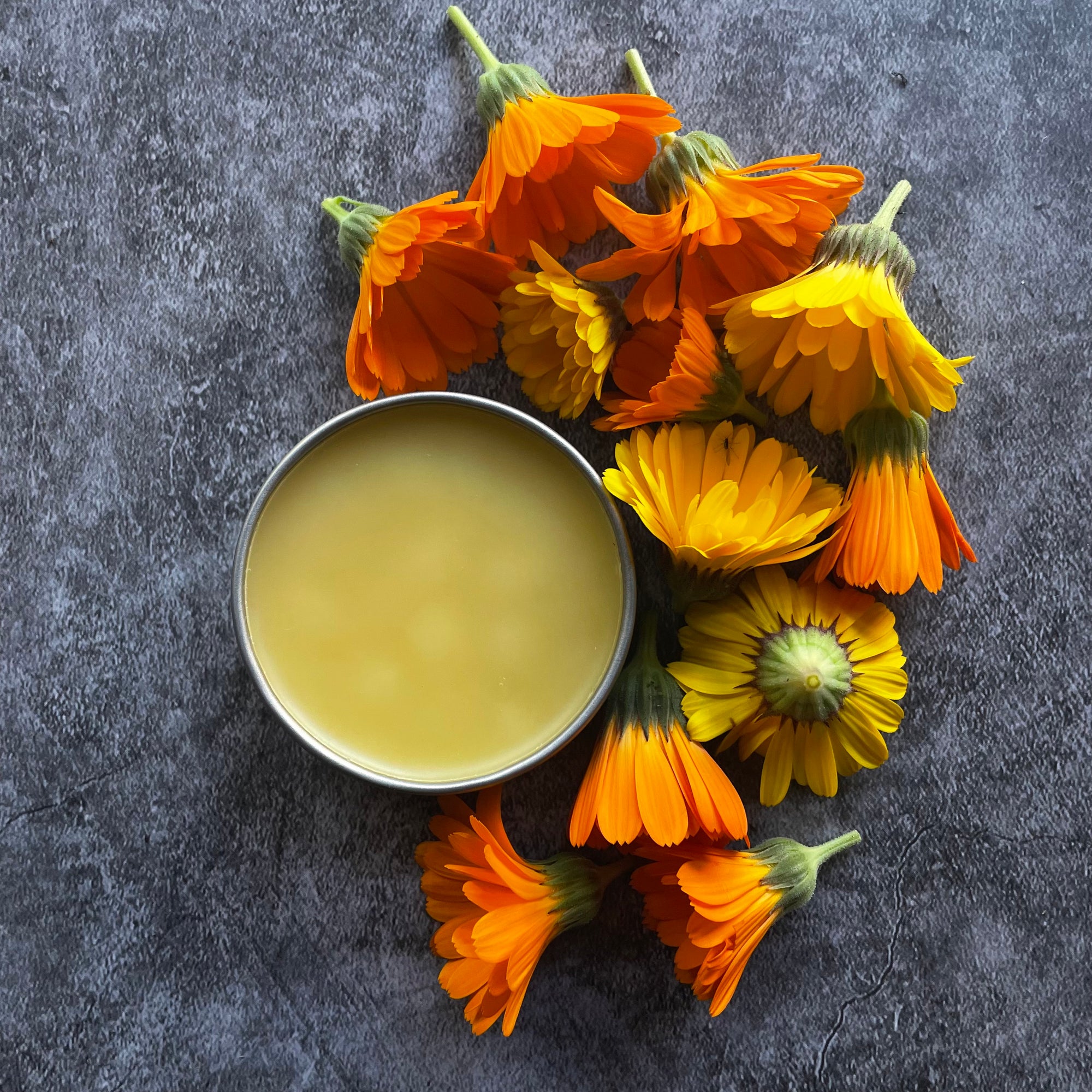 Rosehip & Calendula Salve