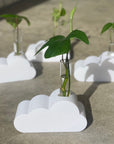 Cloud Plant Propagation Stand