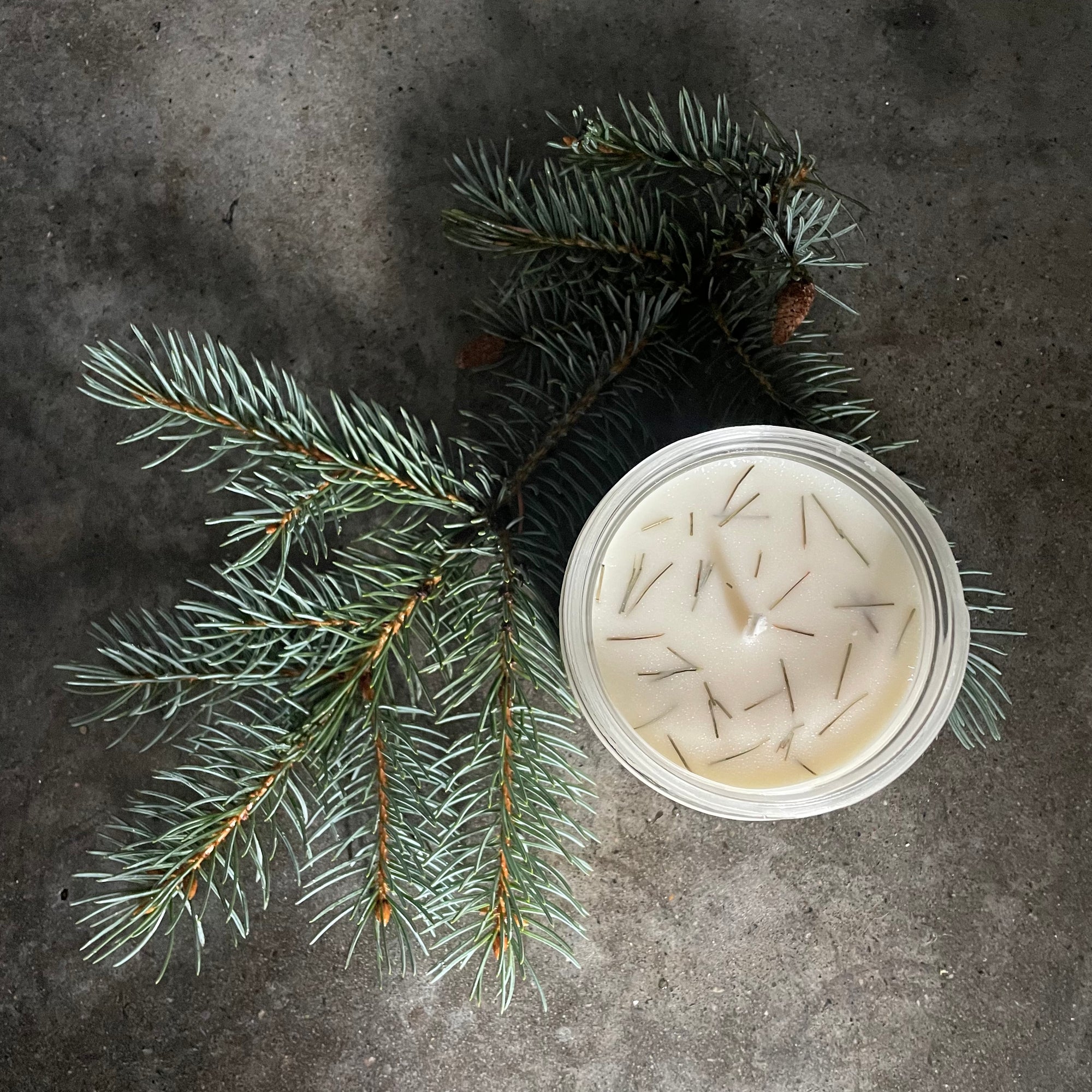 Winter Spruce Soy Candle