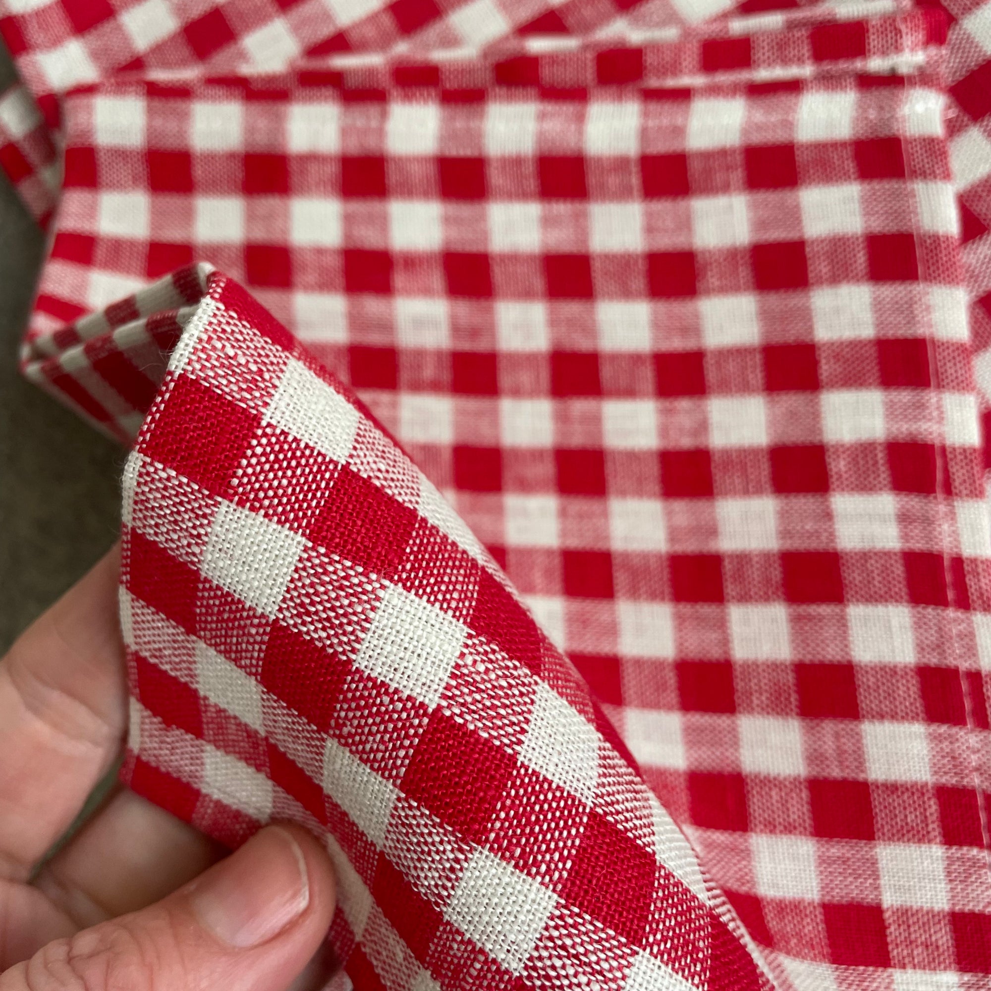 Linen Dish Towel / Red Gingham