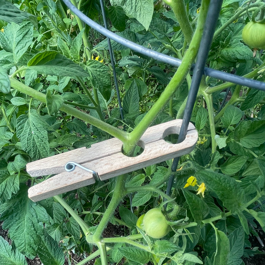 Plant Support Clips