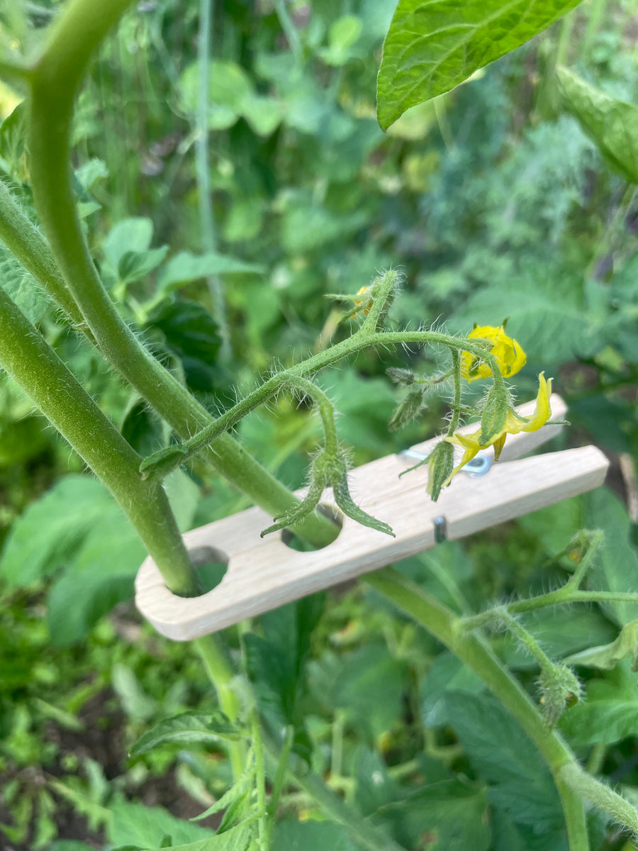 Plant Support Clips