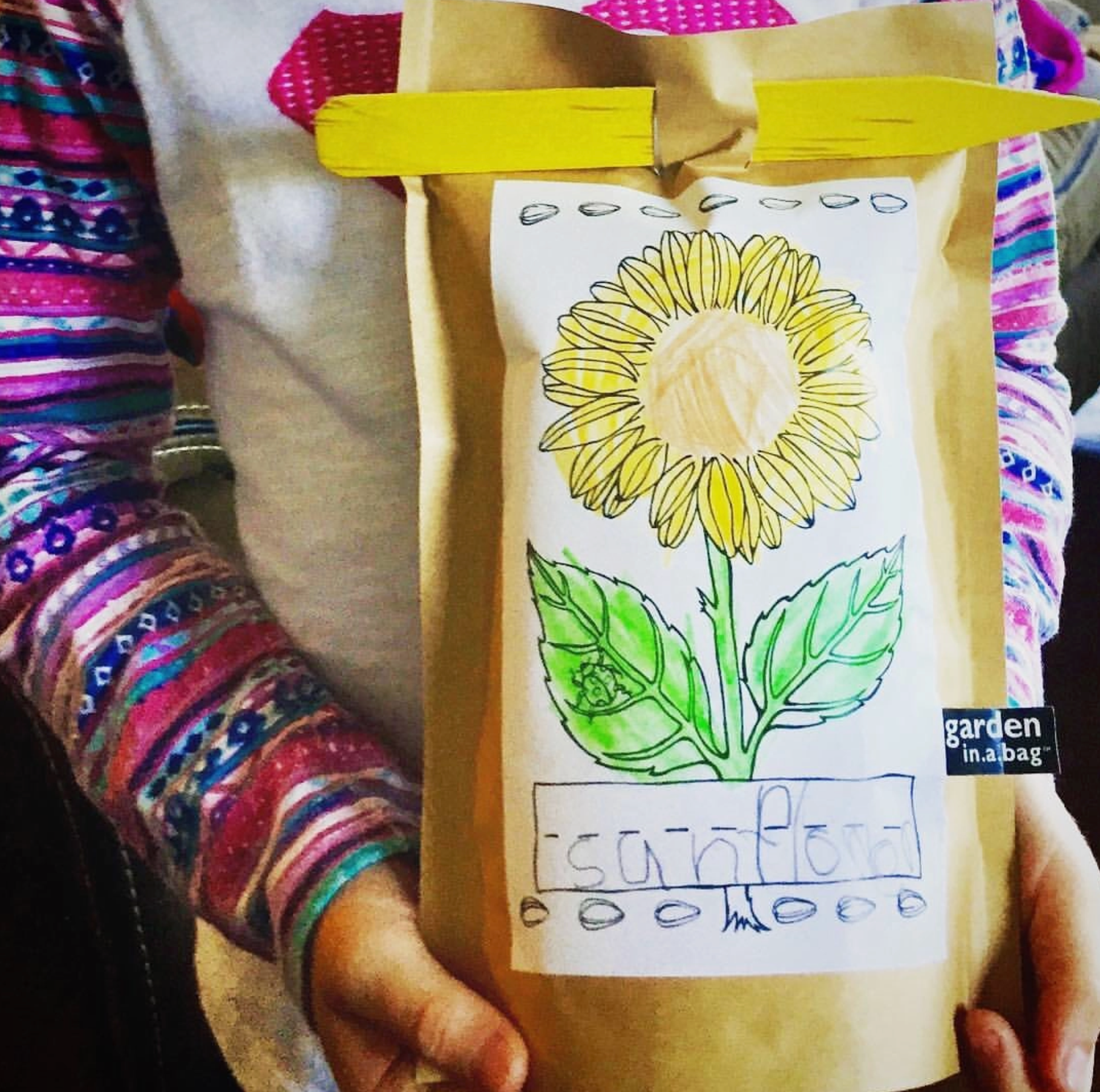 Kid&#39;s Sunflower Growing Kit