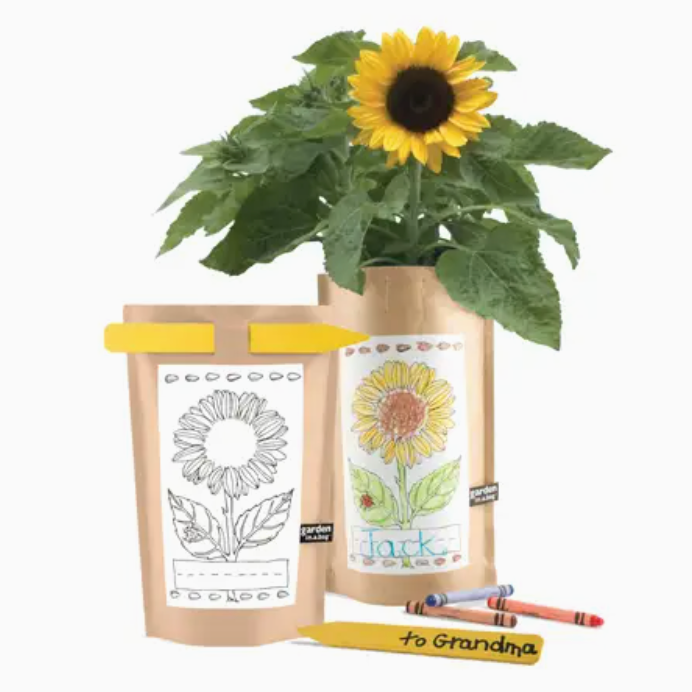 Kid&#39;s Sunflower Growing Kit