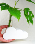 Cloud Plant Propagation Stand