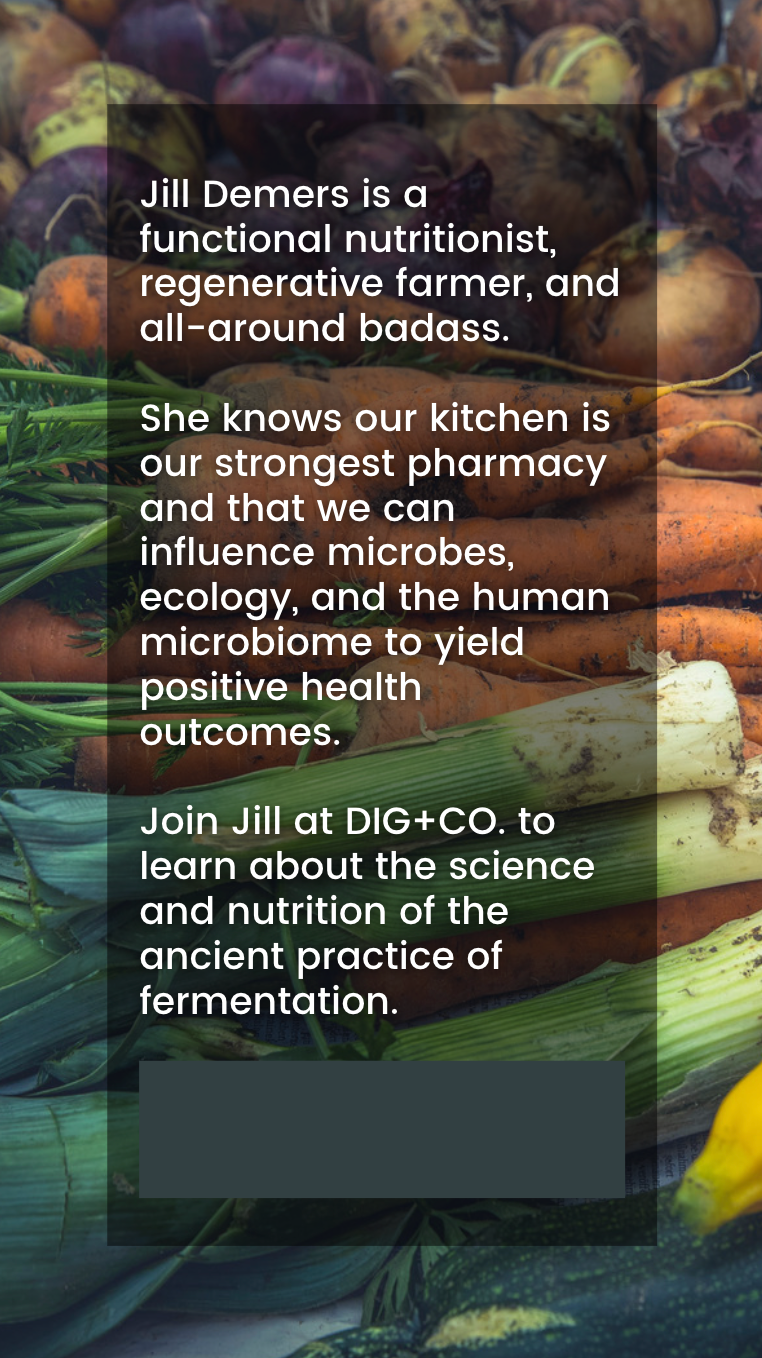 Fermentation 101 Digital Guidebook Dig Co