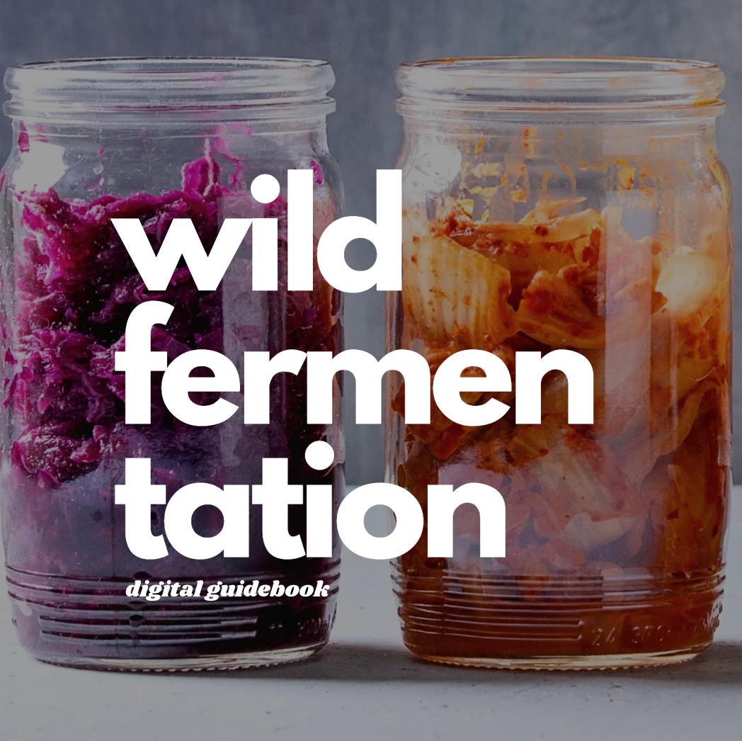 Fermentation 101 Digital Guidebook