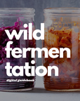 Fermentation 101 Digital Guidebook