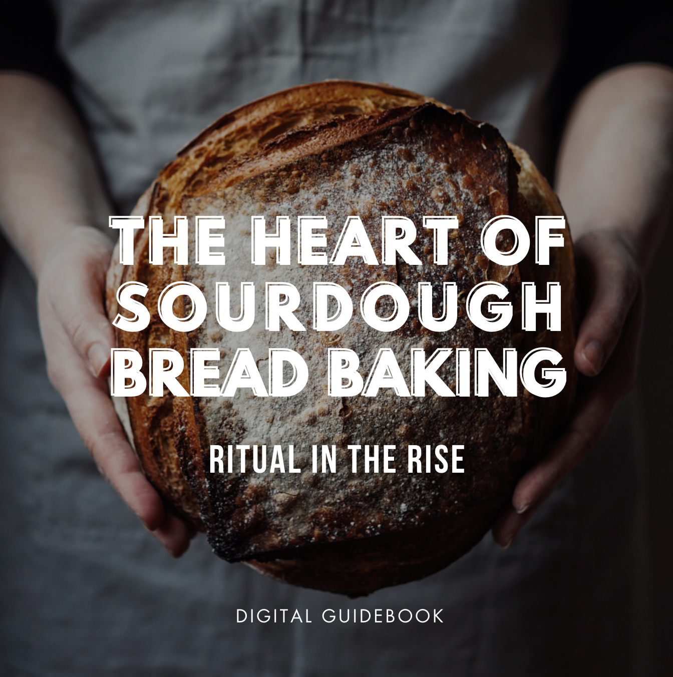 The Heart of Sourdough Bread Baking Digital Guidebook