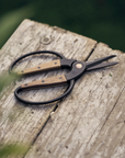 Petite Kitchen + Garden Shears