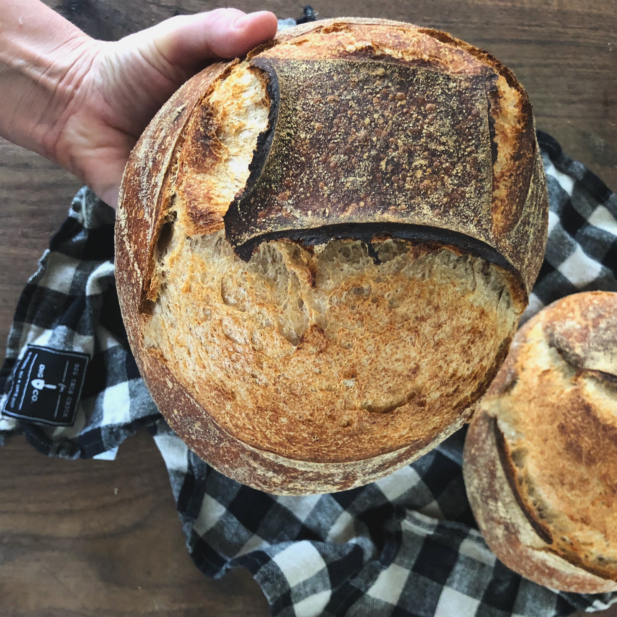 The Heart of Sourdough Bread Baking / Digital Live Workshop / February 2, 2024