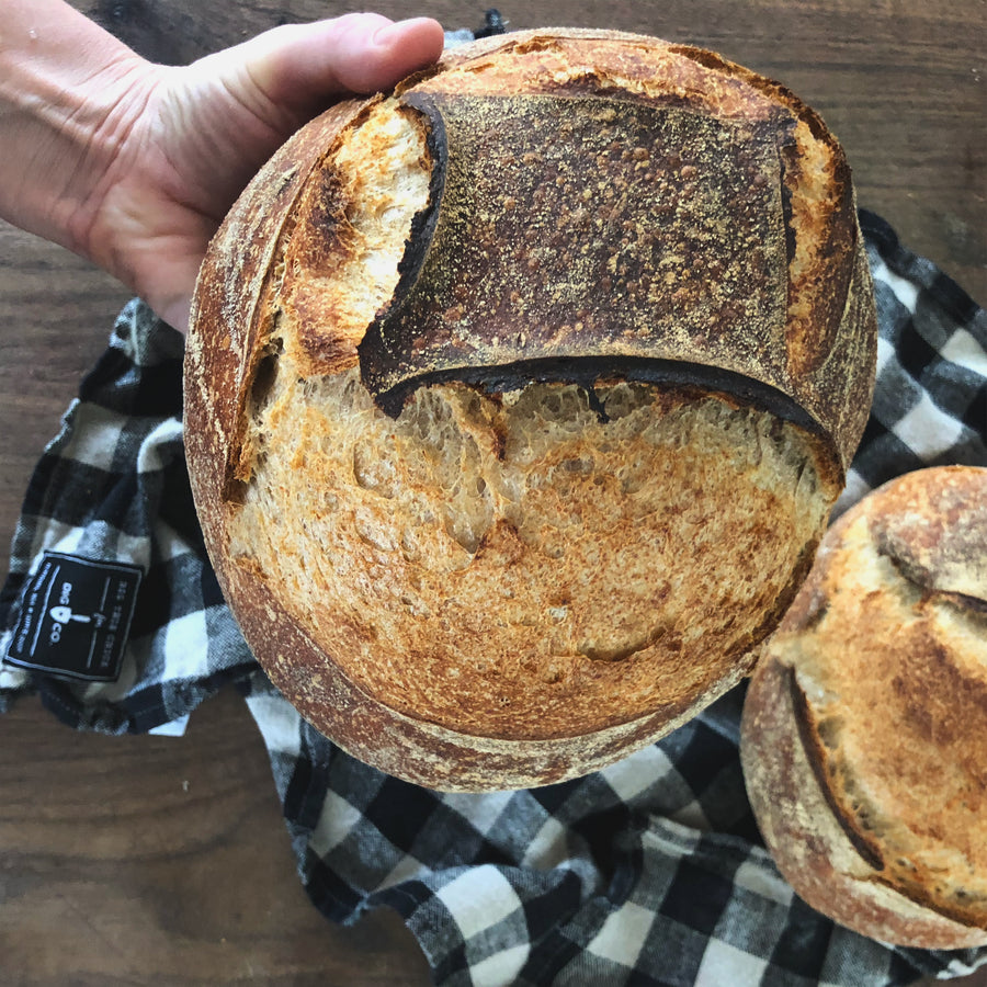 The Heart of Sourdough Bread Baking / Digital Live Workshop / April 1, 2023