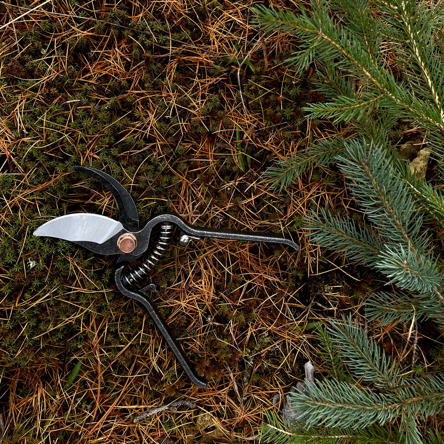 Pruner
