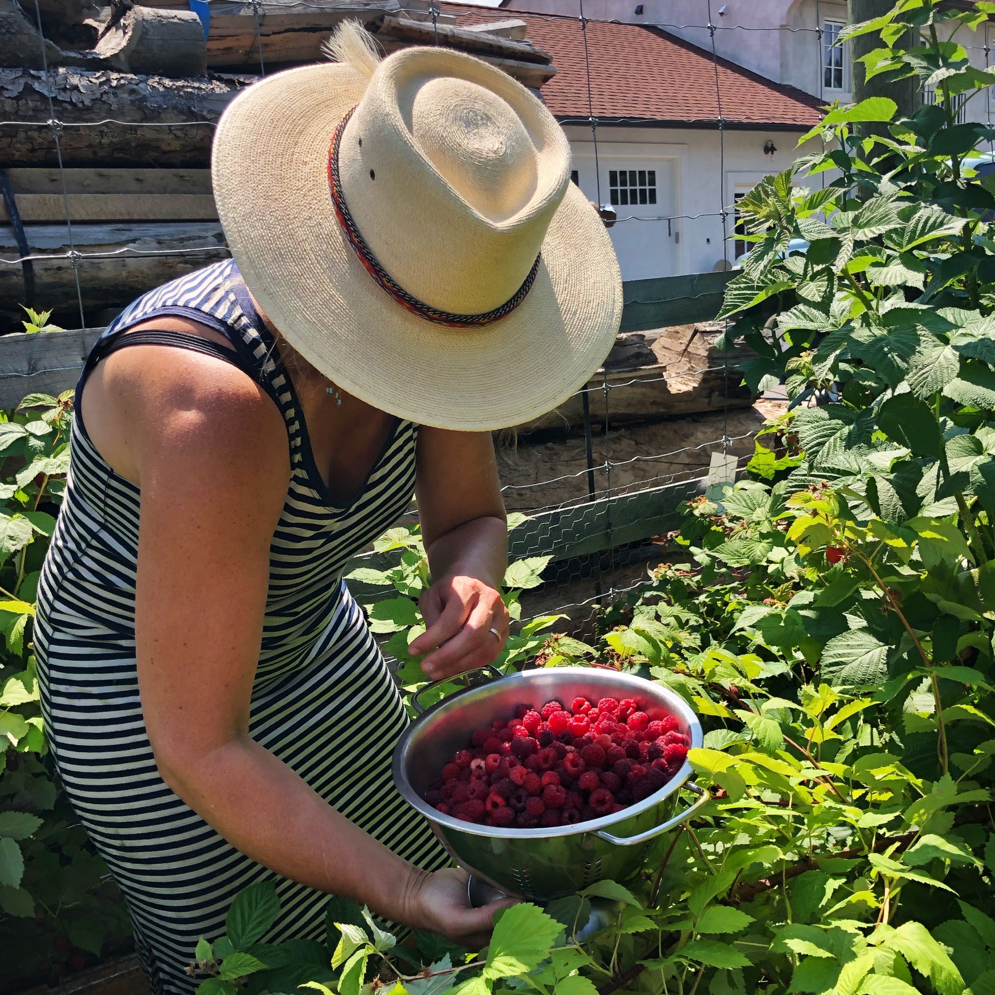 Strawberry Jam: Digital LIVE Canning Workshop / June 15, 2024