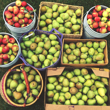 Pears + Peaches: Digital LIVE Canning Workshop / August 15, 2021