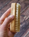 Gardener's nail brush beechwood and tampico fiber