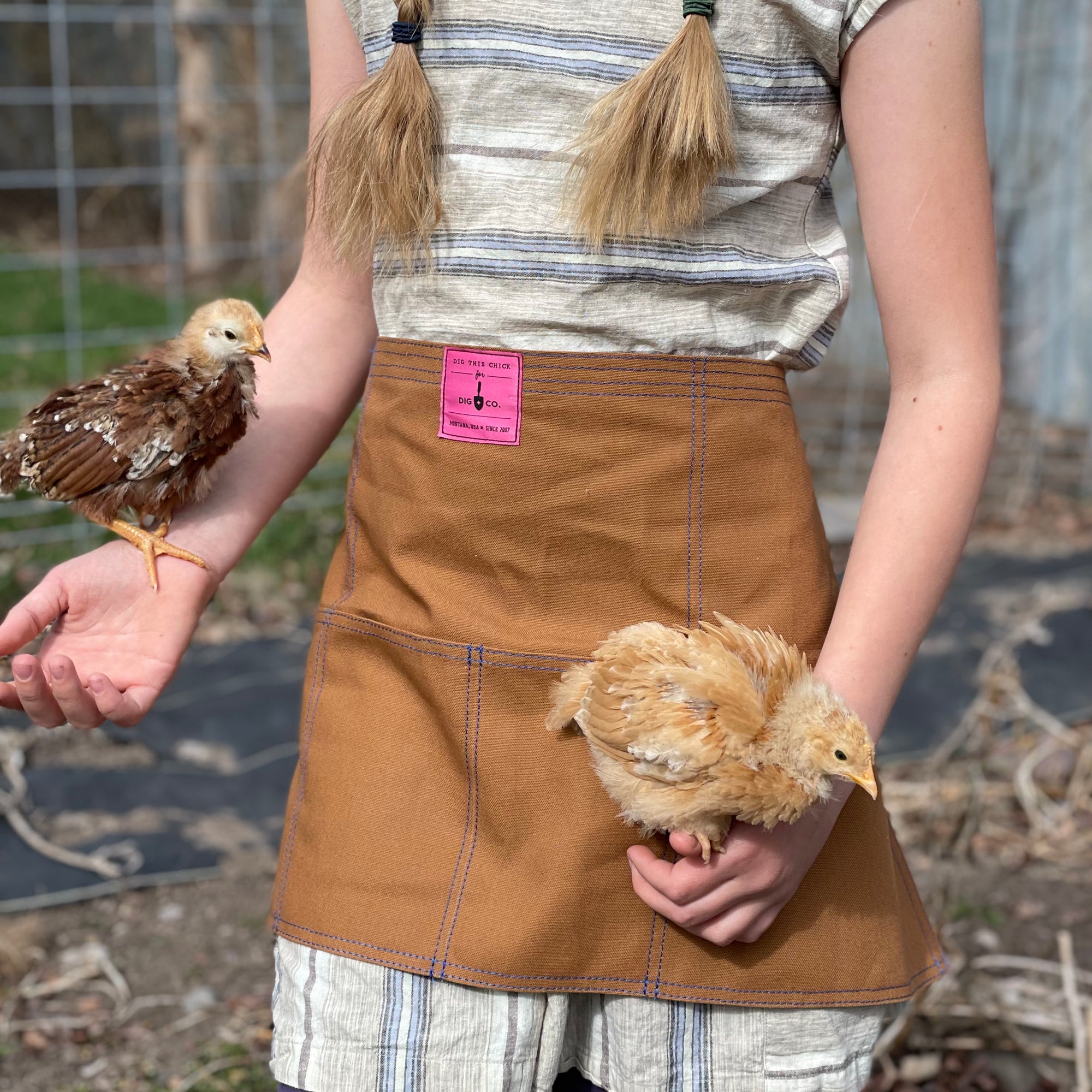 A person wears the canvas utility apron and holds two young chickens. 