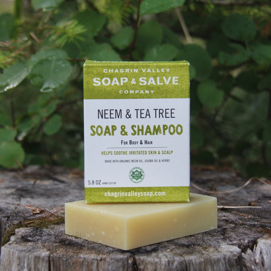 neem and tea tree shampoo bar