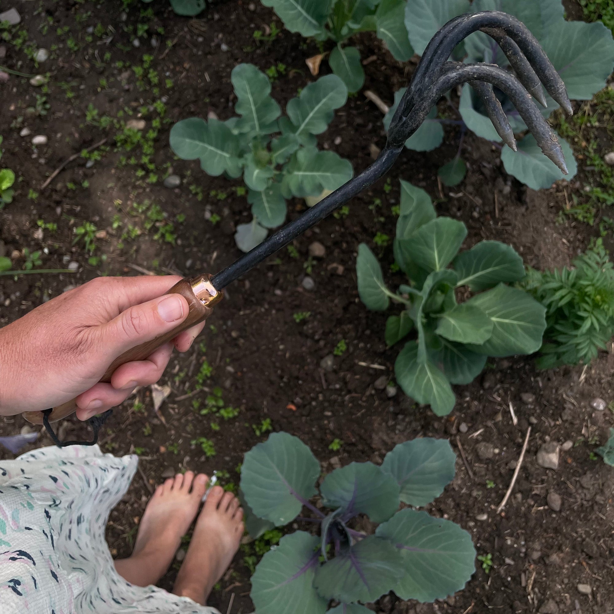 Hand Cultivator