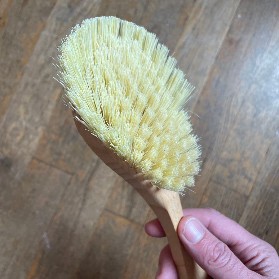 XL Beechwood Dish Brush