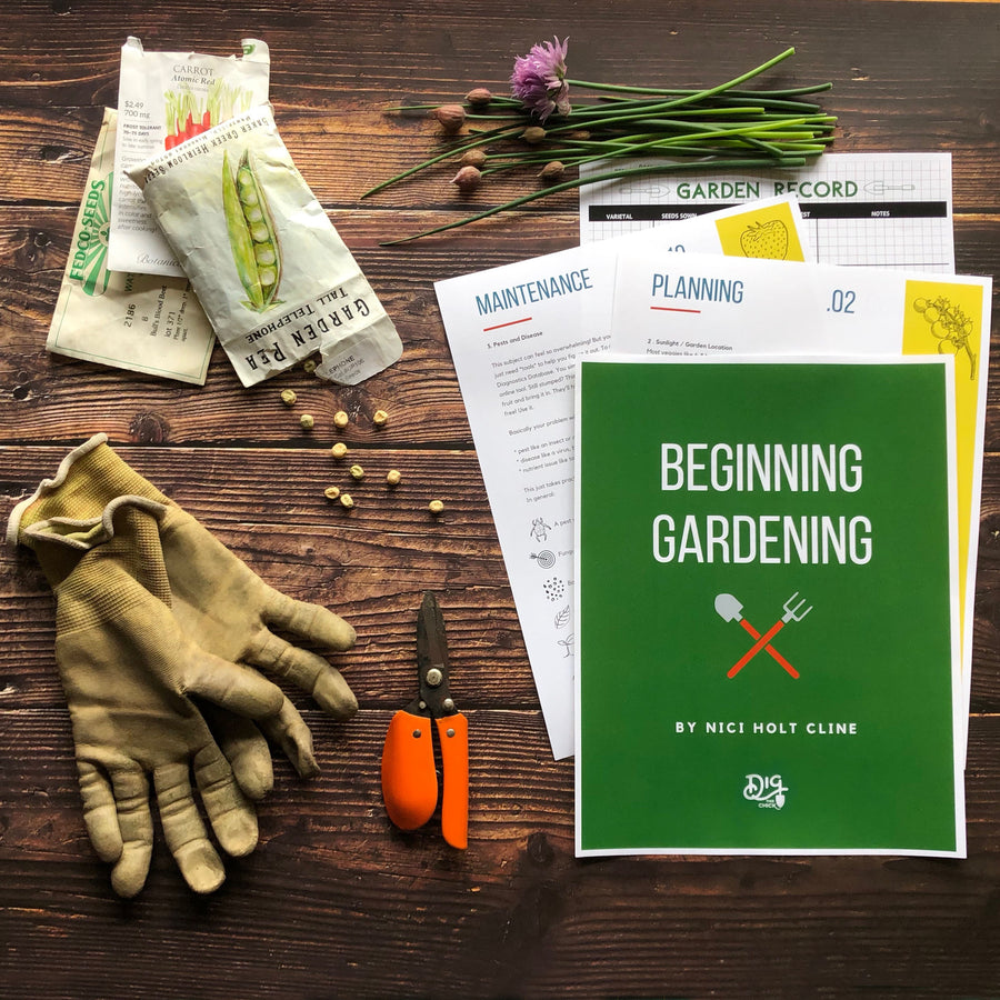 Garden: A Guide for Beginners downloadable pdf course