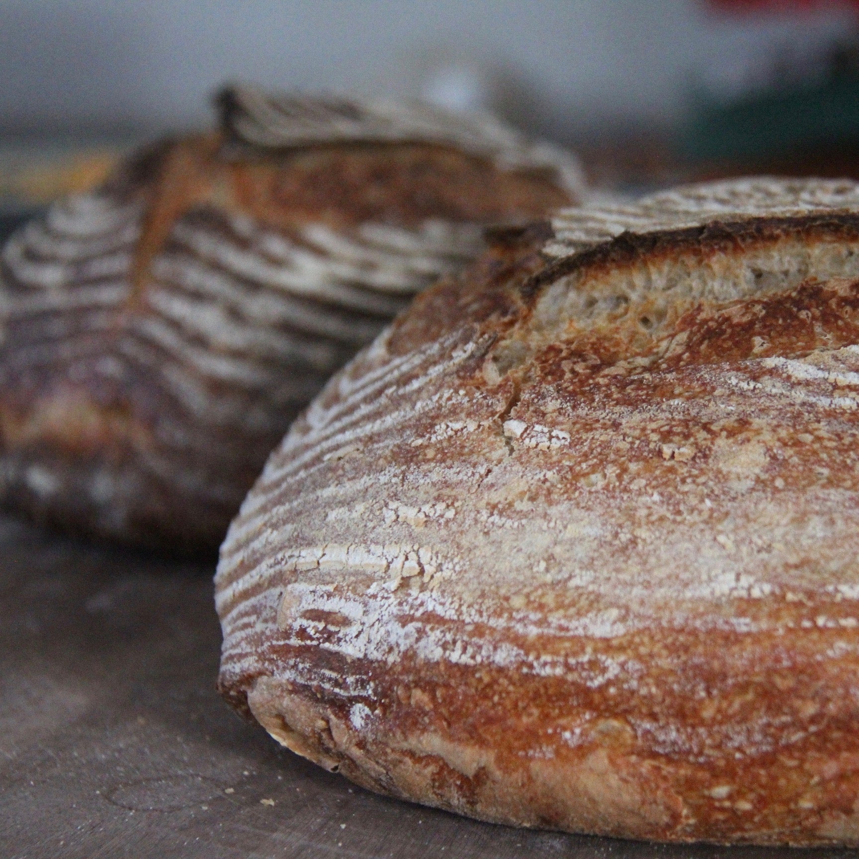 sourdough bread