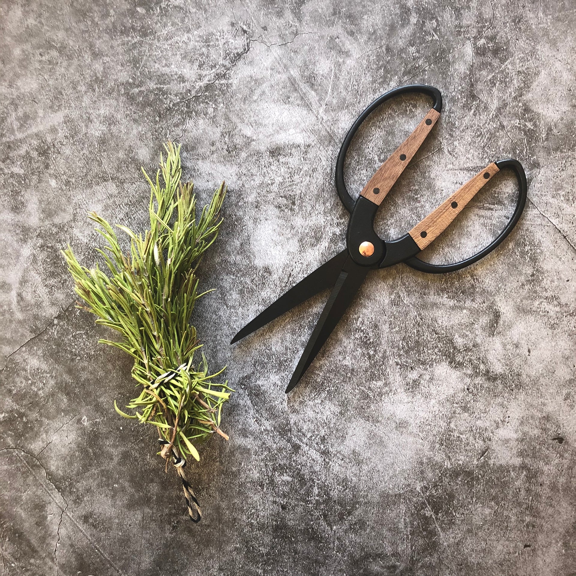 vegetable garden scissors Kitchen + Garden Shears
