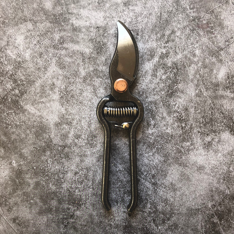 Pruner