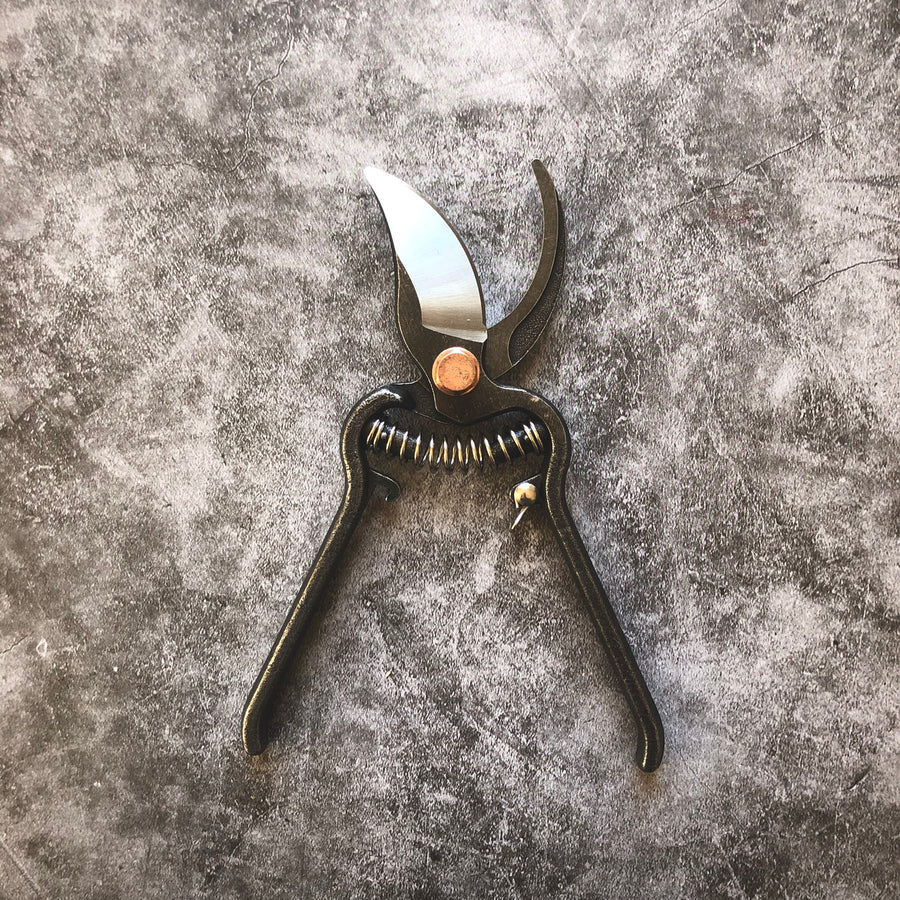 Pruner