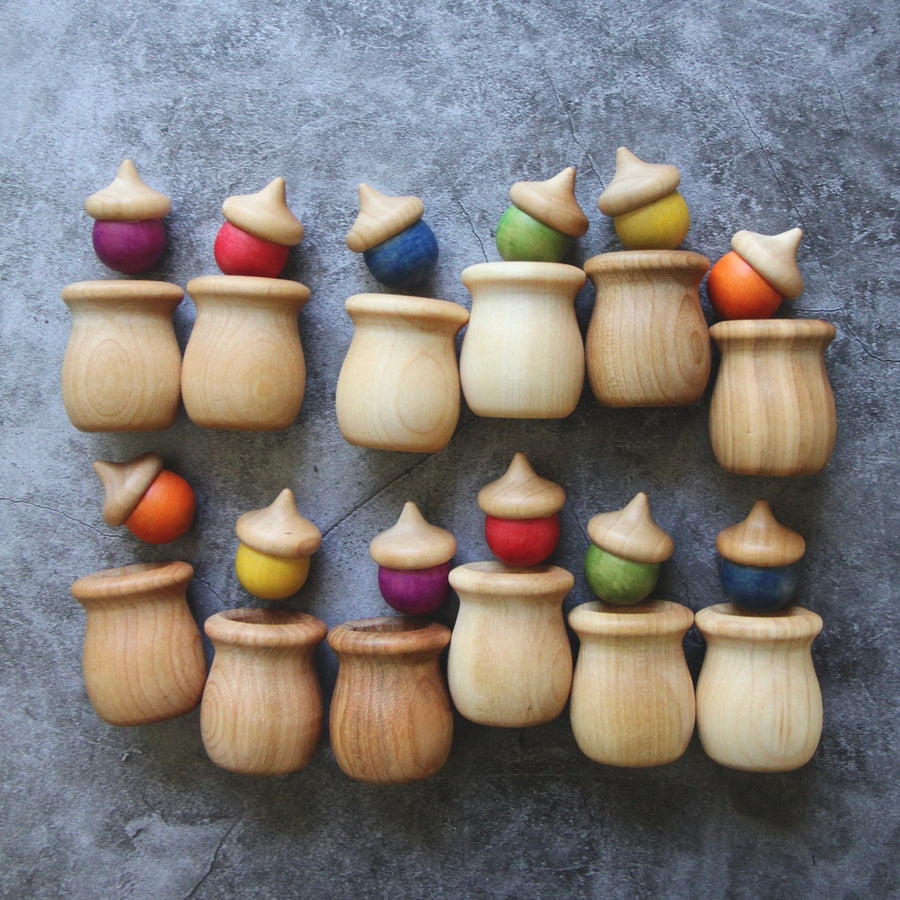 Twelve wooden acorn toys with a gray background