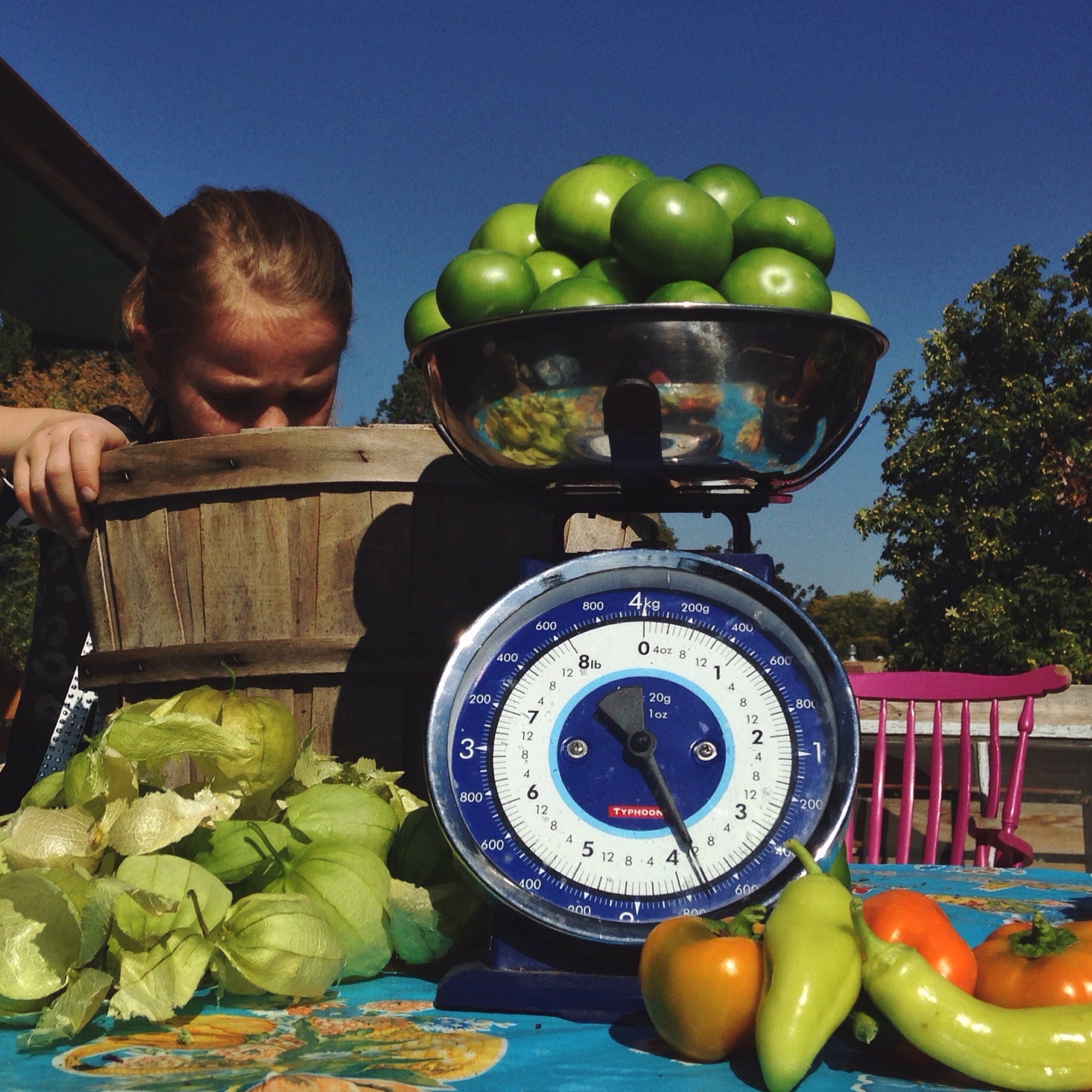 Salsa Verde: Digital LIVE Canning Workshop / September 12, 2021