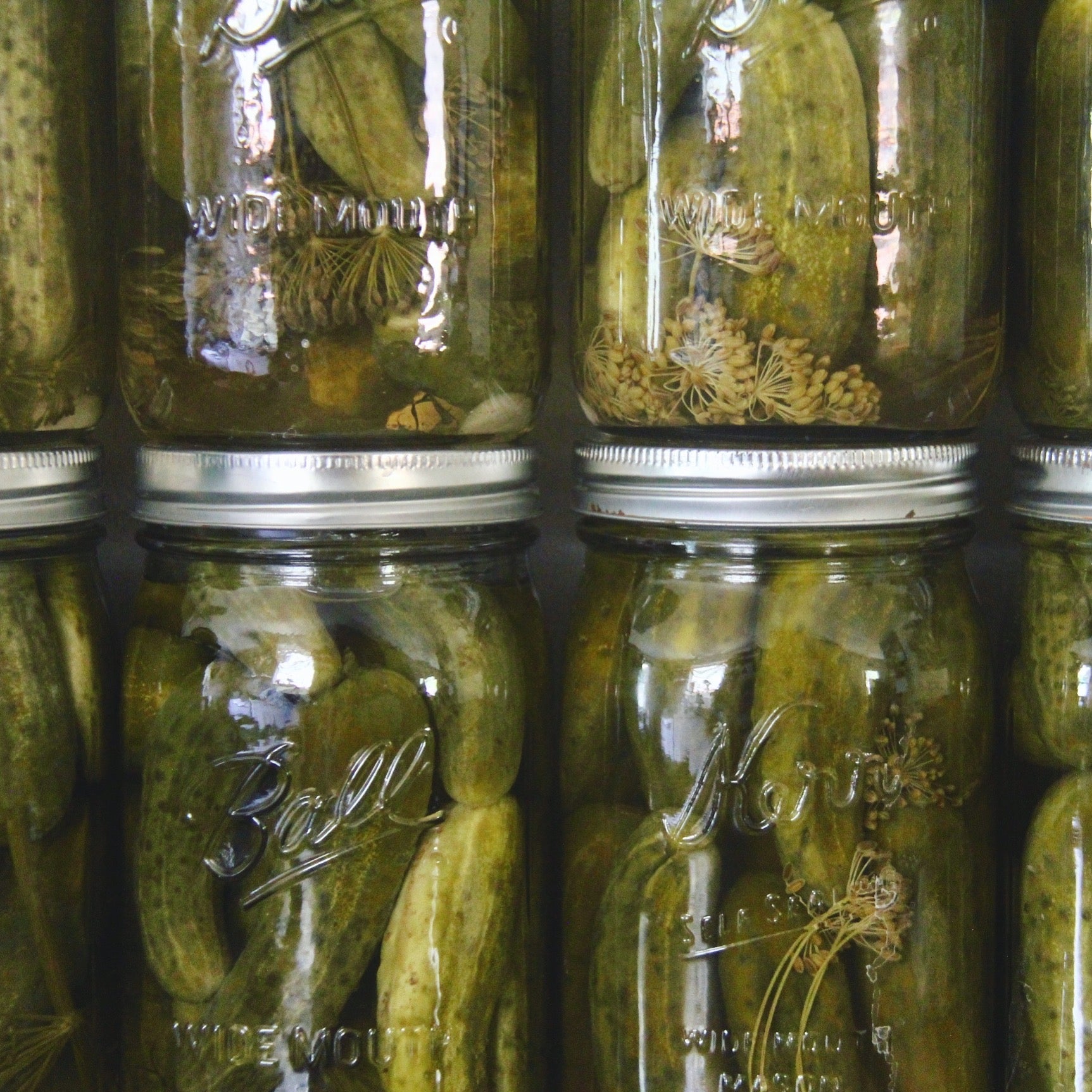 canned pickles