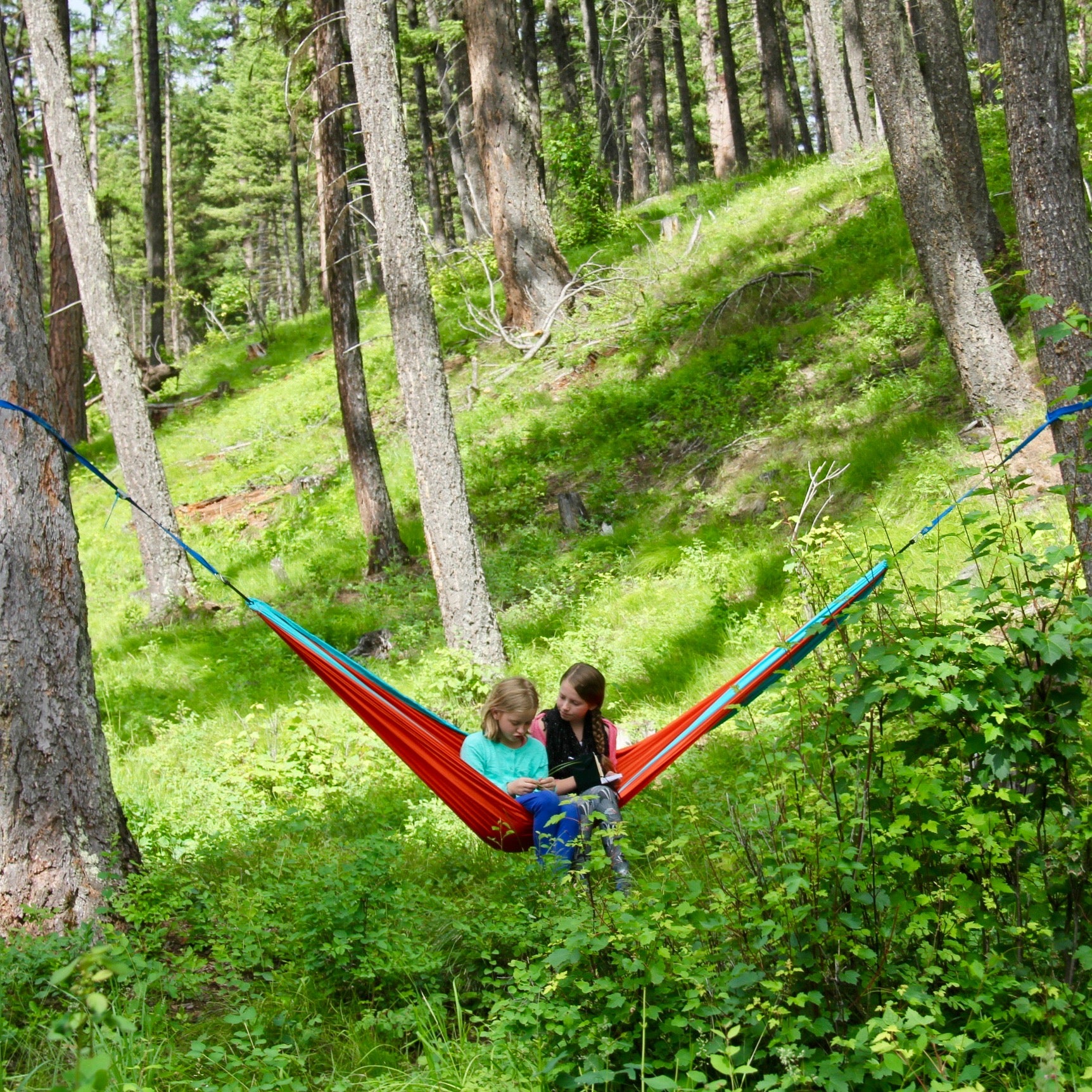 children in hammock