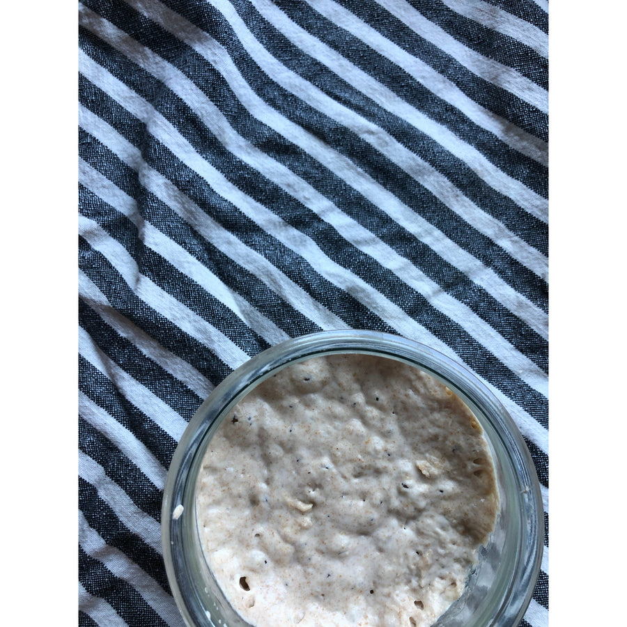 The Heart of Sourdough Bread Baking / Digital Live Workshop / April 1, 2023