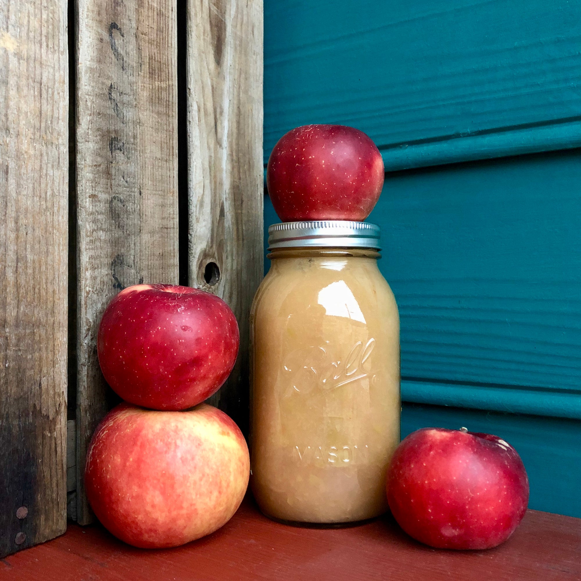 Applesauce: Digital LIVE Canning Workshop / October 17 2021