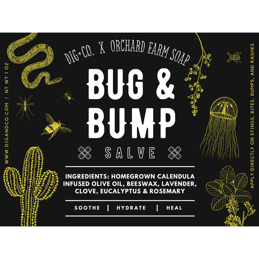 A digitally created black label of the Bug & Bump Salve. The label lists the ingredients to the salve and features a snake, a jellyfish, a variety of insects, and a cactus. 