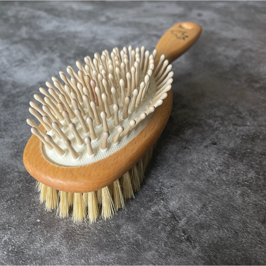 Dual Duty Dog Brush