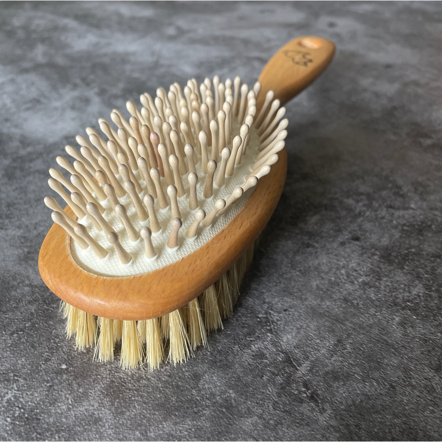 Vegetable Brush with Wood Handle and Natural Bristles