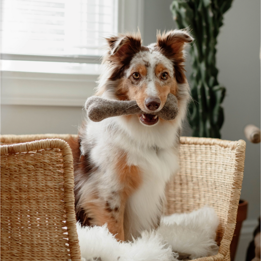 Wool Dog Bone Toy