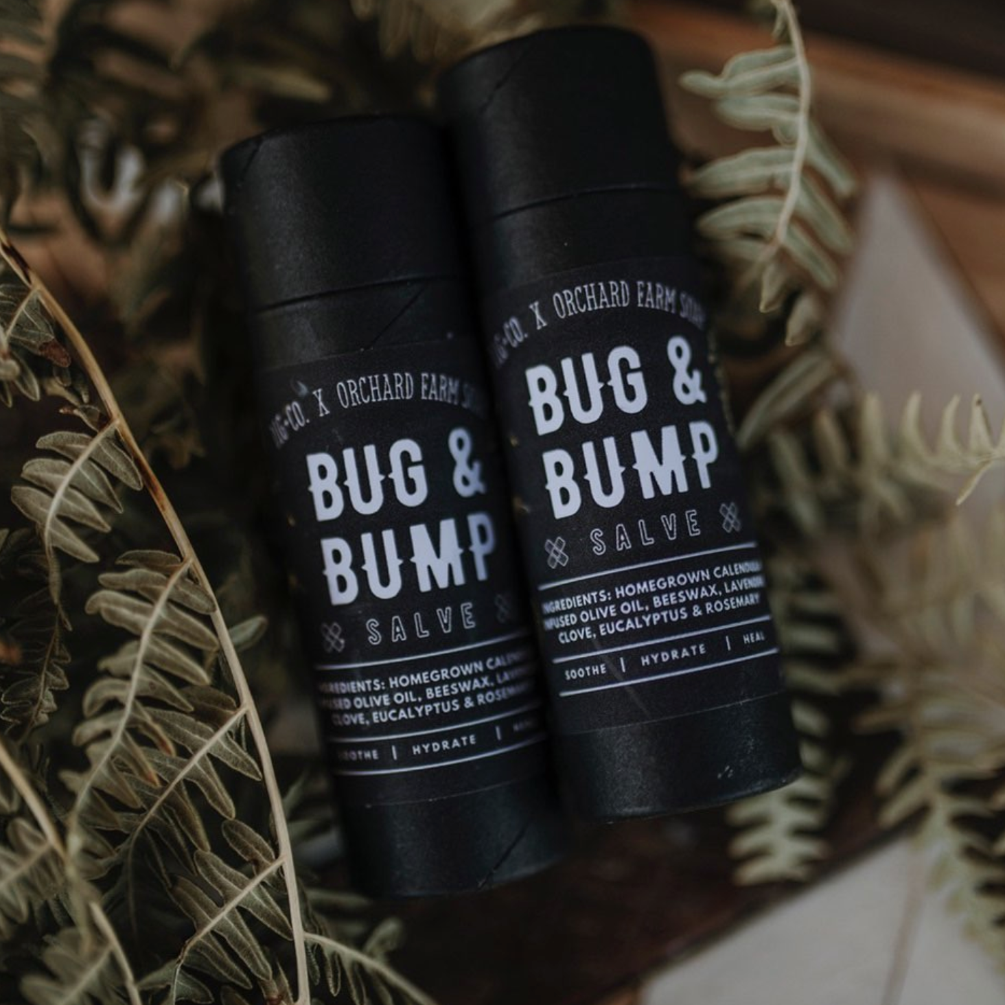 Two black tubes of Bug &amp; Bump Salve are placed on small ferns. 